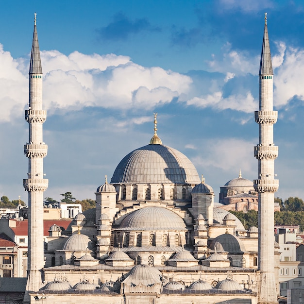 La Nueva Mezquita En Estambul Turquía Foto Premium