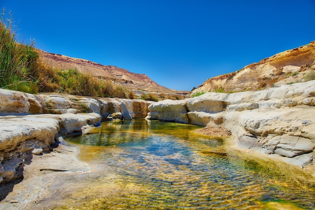 Oasis De Agua En El Desierto Foto Premium