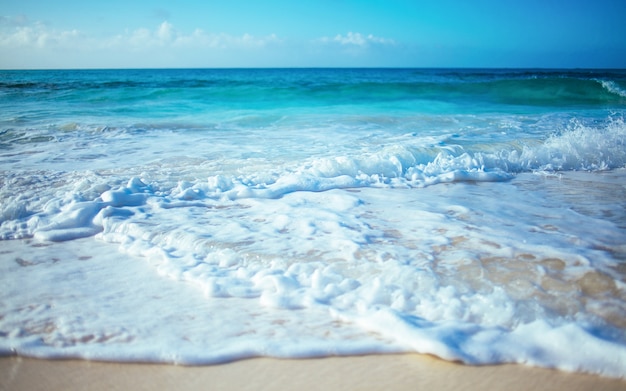 Olas De Playa Azul Foto Premium