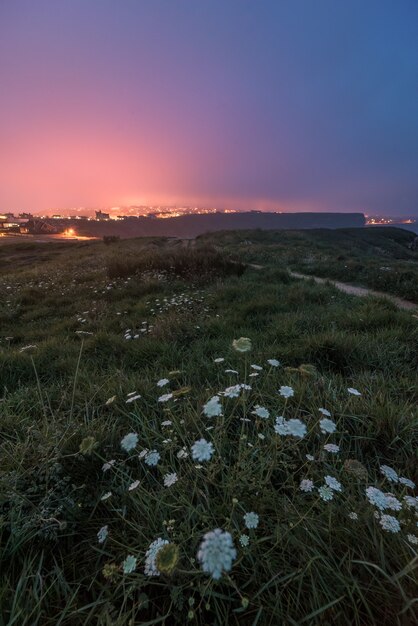 Foto Premium Paisaje Costero En La Noche Con Colores Calidos Y Frios En Un Cielo Nublado