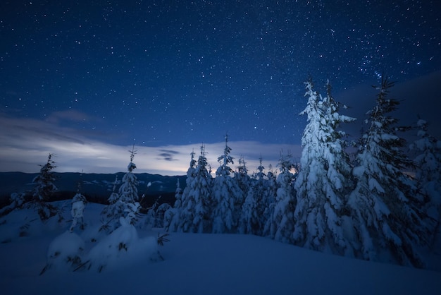 Paisaje De Invierno Nocturno Con Bosque Nevado Y Estrellas Brillantes