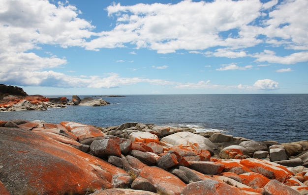 Paisaje Mar Y Rocas Foto Gratis