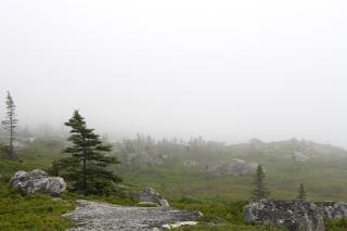 neblina paisajes brumeux nebligen landschaft nebbioso mistig landschap