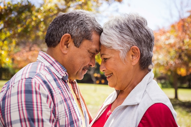 Una Pareja De Ancianos Abrazados Y Romances En El Parque Foto Premium