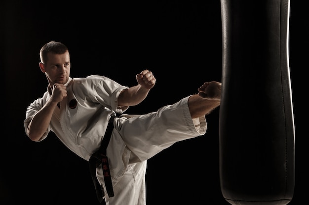 Patada Redonda De Karate En Un Saco De Boxeo | Foto Gratis