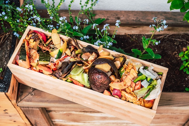 Peladuras y desechos orgánicos en una caja de madera para crear abono casero. Foto Premium 