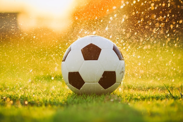 Pelota En El Campo De Hierba Verde Para El Partido De Fútbol De Fútbol ...