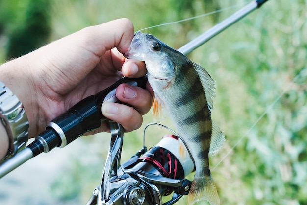 Pescador Con Caña De Pescar Con Pescado Fresco Foto Gratis 5778