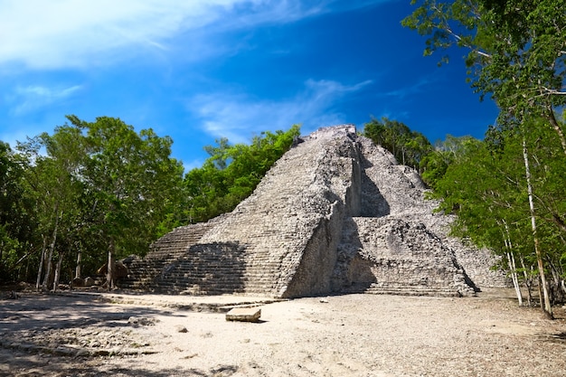 Pirámide maya nohoch mul en cobá méxico Foto Premium