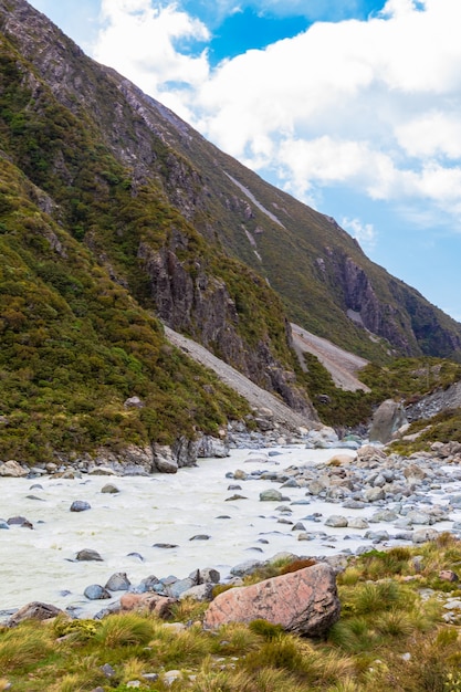 La Pista Entre El Valle Verde De Los Alpes Del Sur En El Lago Mueller