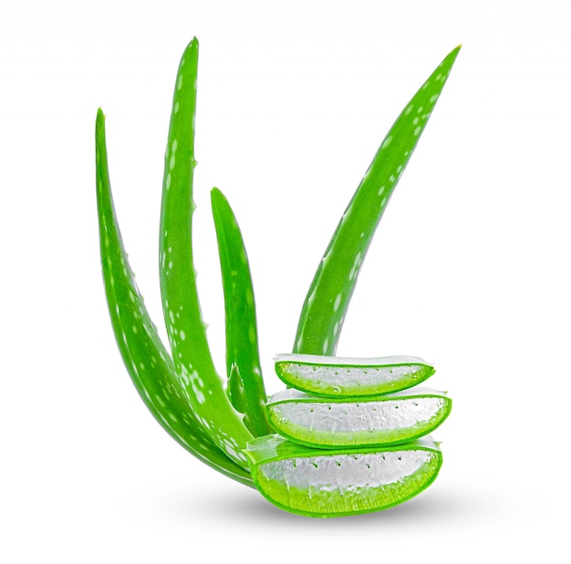 aloe descargar