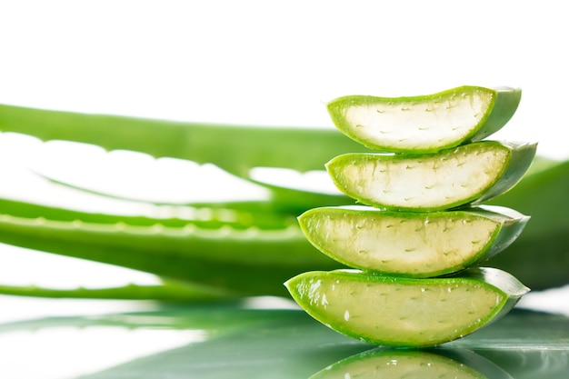 Planta De Aloe Vera En El Fondo Blanco Foto Premium