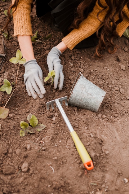 Plantando | Foto Gratis