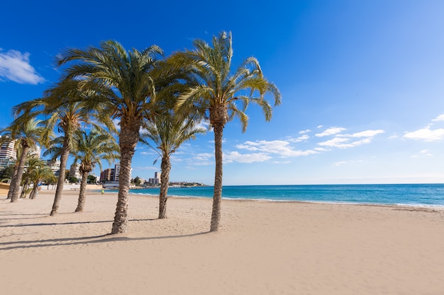 Beaches In Alicante: 6 Family-Friendly Spots to Go
