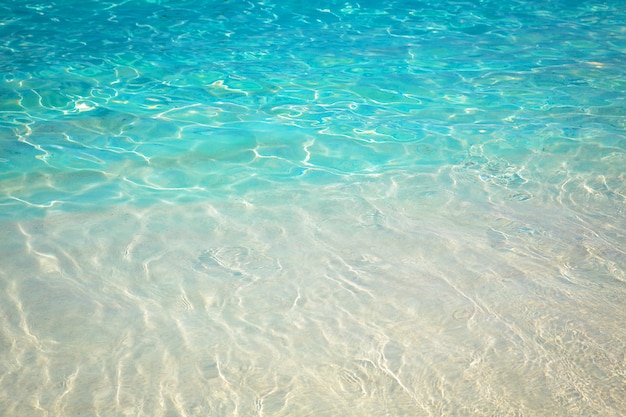 Playa De Arena Y Aguas Cristalinas Del Mar | Foto Premium