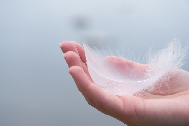 Pluma de cisne blanco en la mano de una mujer blanca Foto Premium