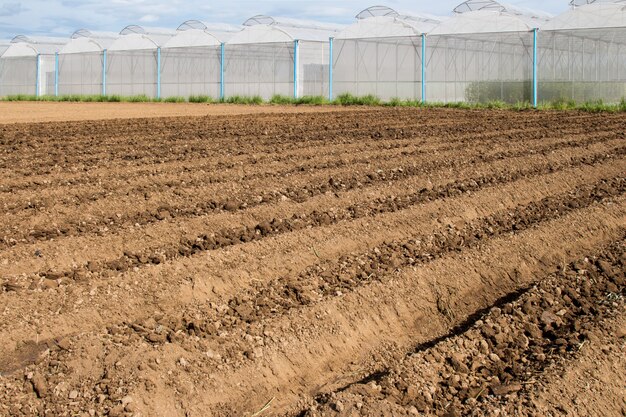 Preparación Del Suelo Para La Siembra De Hortalizas En La Agricultura ...