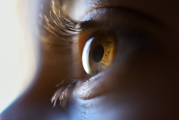 Primer plano de la niña hermosa ojos marrones Foto gratis