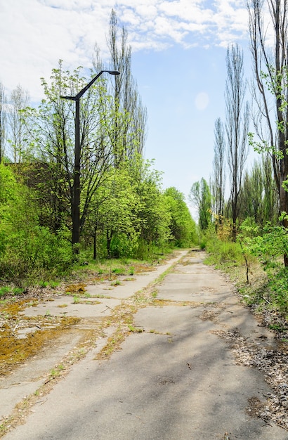 Pripyat, Ucrania. Una Calle De La Ciudad Abandonada De Pripyat En La ...