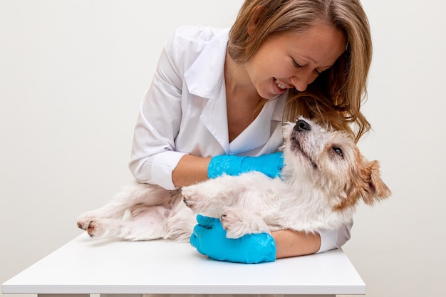 Procedimiento De Aseo En Una Cl Nica Veterinaria Chica Con Guantes