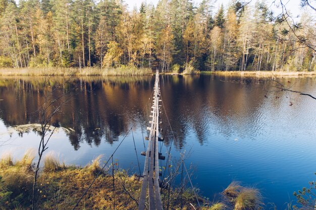 Puente Colgante De Madera Largo Y Estrecho Sobre El Lago En Karelia