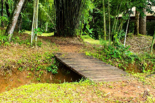 Puente De Madera Que Cruza El Arroyo En La Cascada De Si Dit ...