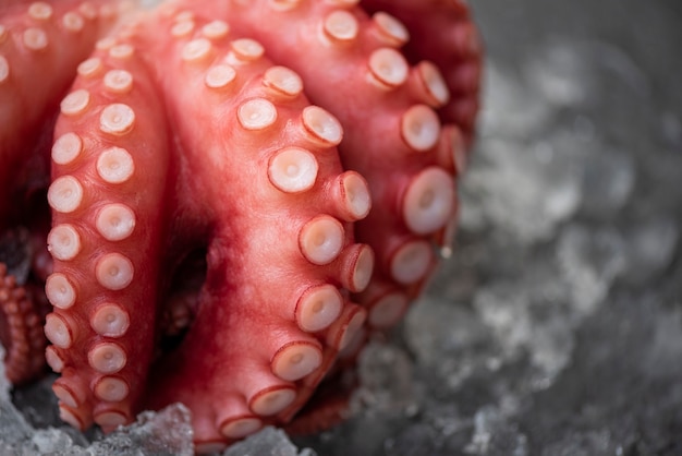 Pulpo fresco sobre hielo y fondo oscuro tentáculos de pulpo entero