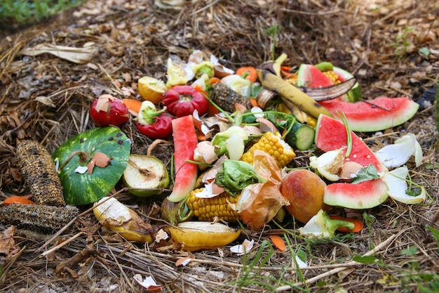 Residuos Domésticos Para Abono De Frutas Y Verduras En Huerta. | Foto ...