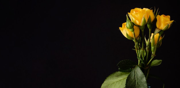 Rosas Amarillas En Florero Con Espacio De Copia Foto Gratis