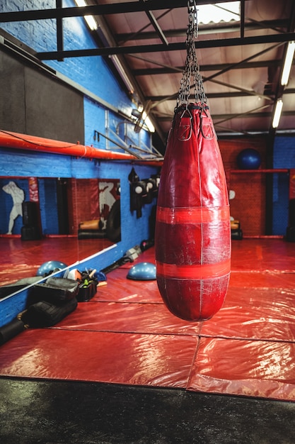saco boxeo techo
