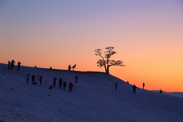 Silueta De Los Fot Grafos Que Toman La Imagen Bajo Un Gran Rbol En La