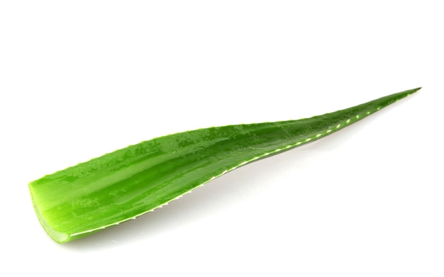 Sola hoja de aloe vera aislada | Foto Gratis