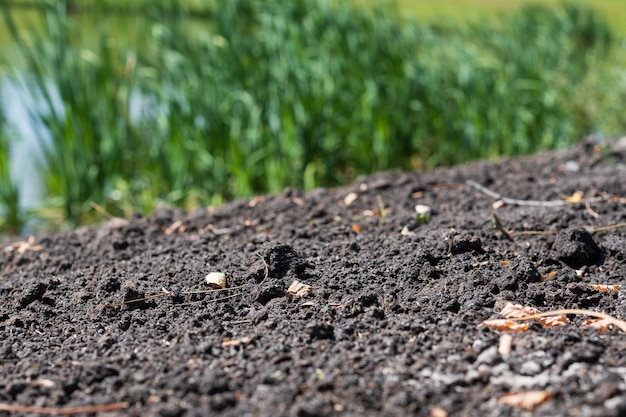 Suelo De Campo Textura Oscura De La Tierra De Las Tierras De Cultivo