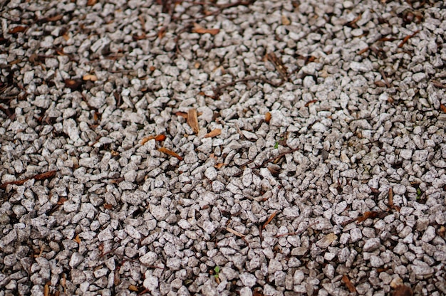 Suelo cubierto de pequeñas piedras bajo la luz del sol con un fondo