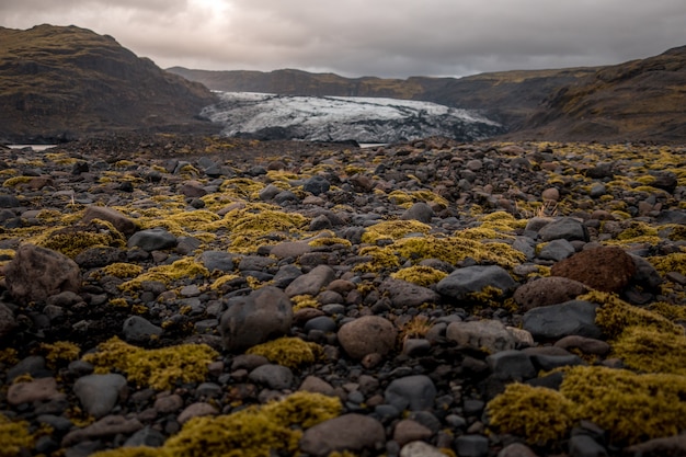 Suelo cubierto de piedras y musgo en el glaciar solheimajokull, en