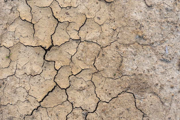 Suelo seco marrón o fondo de textura de tierra agrietada del desierto