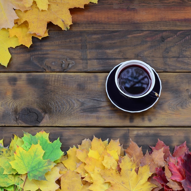 Una taza de té entre un conjunto de hojas de otoño caídas que