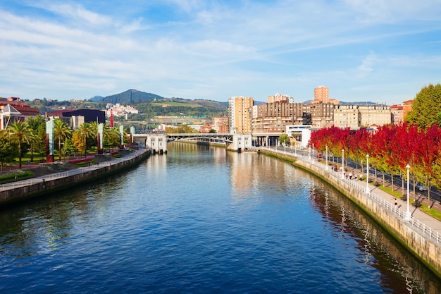 Terrapl N Del R O Nervi N En El Centro De Bilbao La Ciudad M S Grande