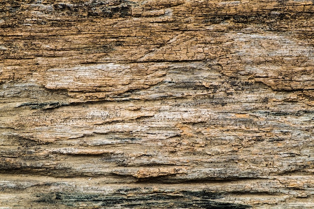 Textura rugosa de la madera de la corteza | Foto Premium