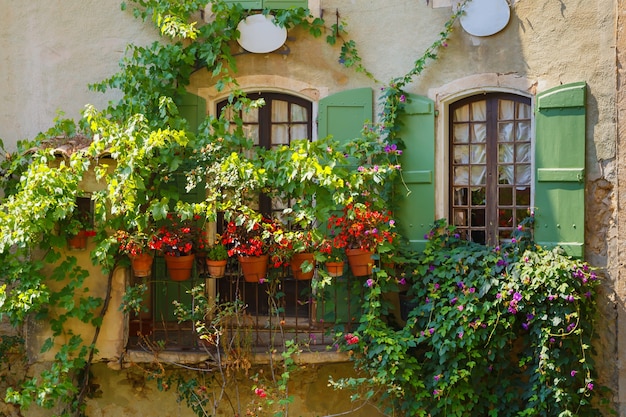 Ventanas vintage con flores persianas verdes de madera cortinas 