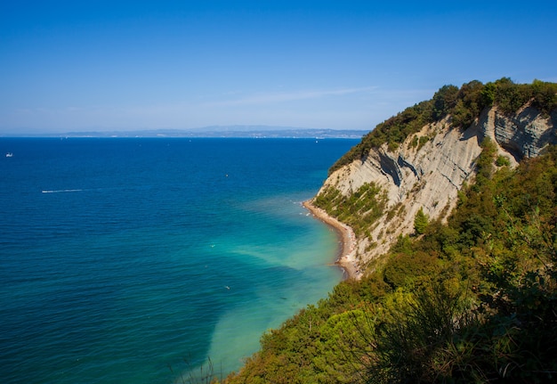 Vista Del Acantilado De Strunjan En La Costa De Eslovenia Foto Premium