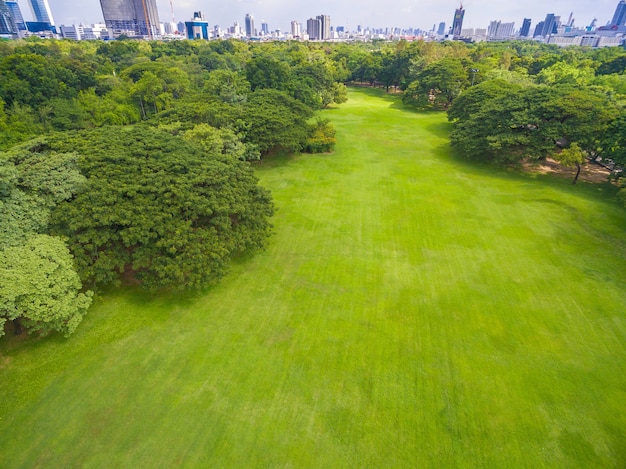 Vista aérea del parque | Foto Premium