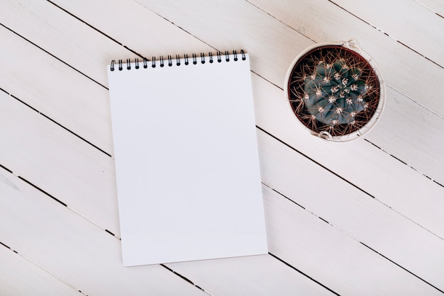 Vista aérea de una planta suculenta espinosa cerca de la libreta espiral en blanco blanco sobre superficie de madera Foto gratis