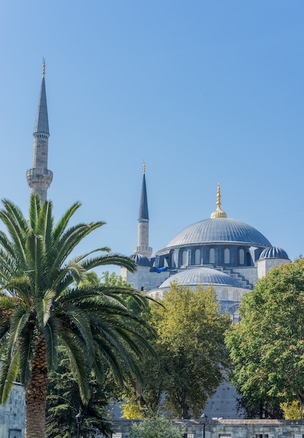 Vista de la cúpula y el minarete de la mezquita del sultán ahmet