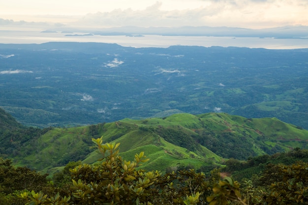 Vista superior del bosque tropical en clima lluvioso Foto gratis