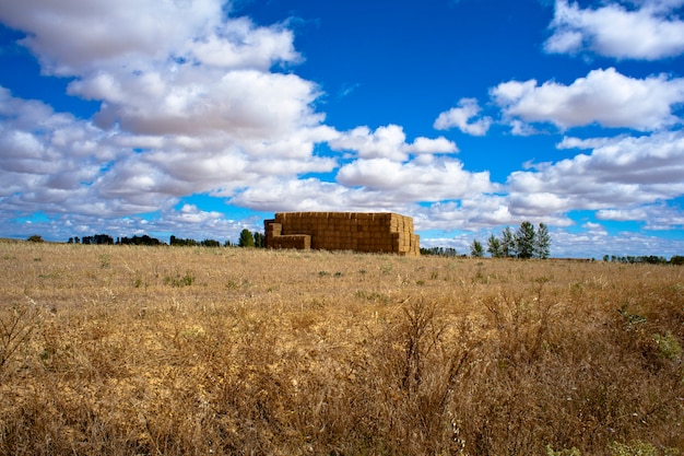 Campagna spagnola Foto Premium