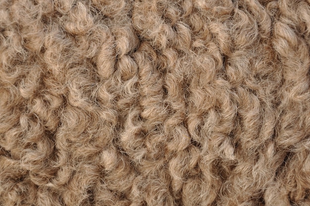 Capelli cammelli Foto Premium