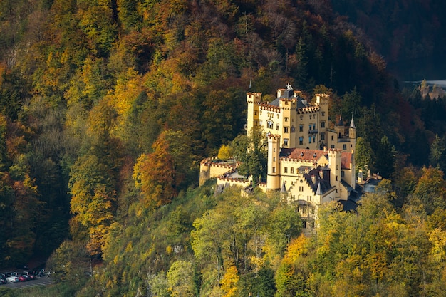 Castello di neuschwanstein Foto Premium