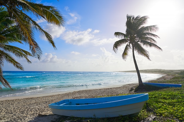 Chen rio beach cozumel island in mexico Foto Premium