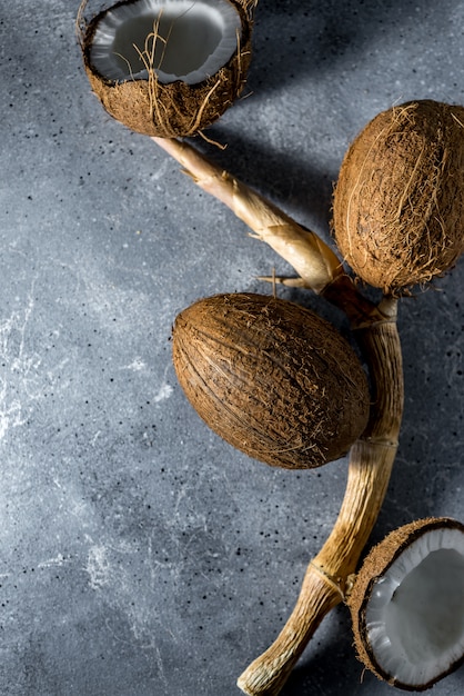 Cocco tritato maturo Foto Premium
